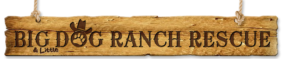 Big Dog Ranch Logo