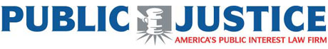 Blue and Red Public Justice Logo