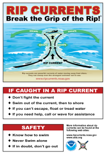 Rip Current Poster explainnig what to do if caught in a rip current.