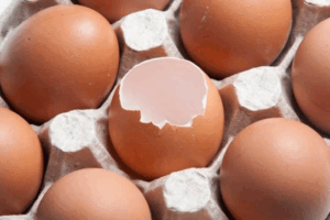 Carton of Eggs and a broken Eggshell